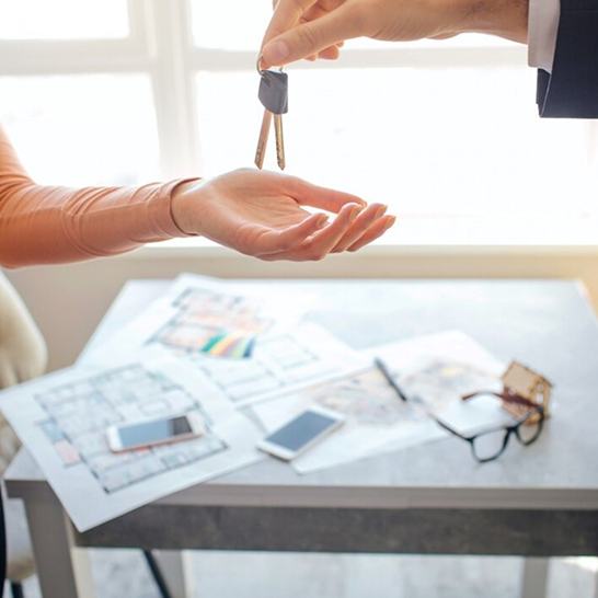 Erfahrung und Expertise
